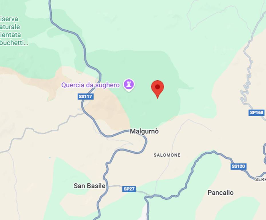 immagine annuncio 1 di 11