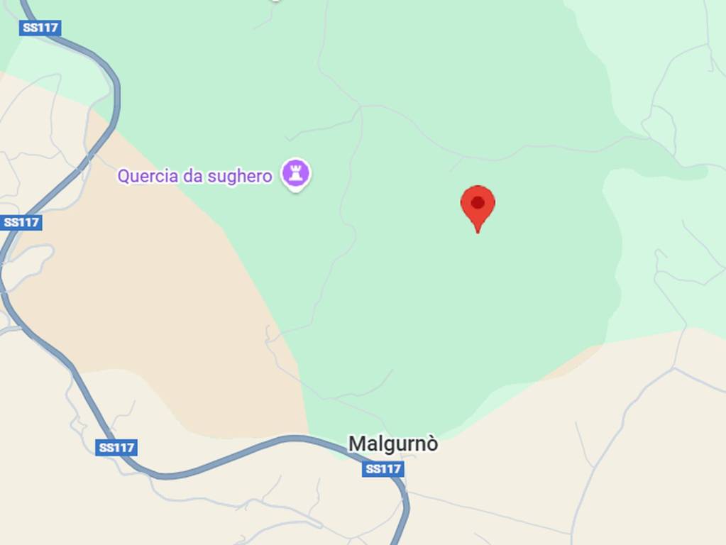 immagine annuncio 2 di 11