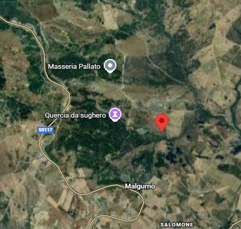 immagine annuncio 7 di 11