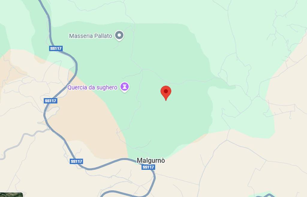 immagine annuncio 3 di 13