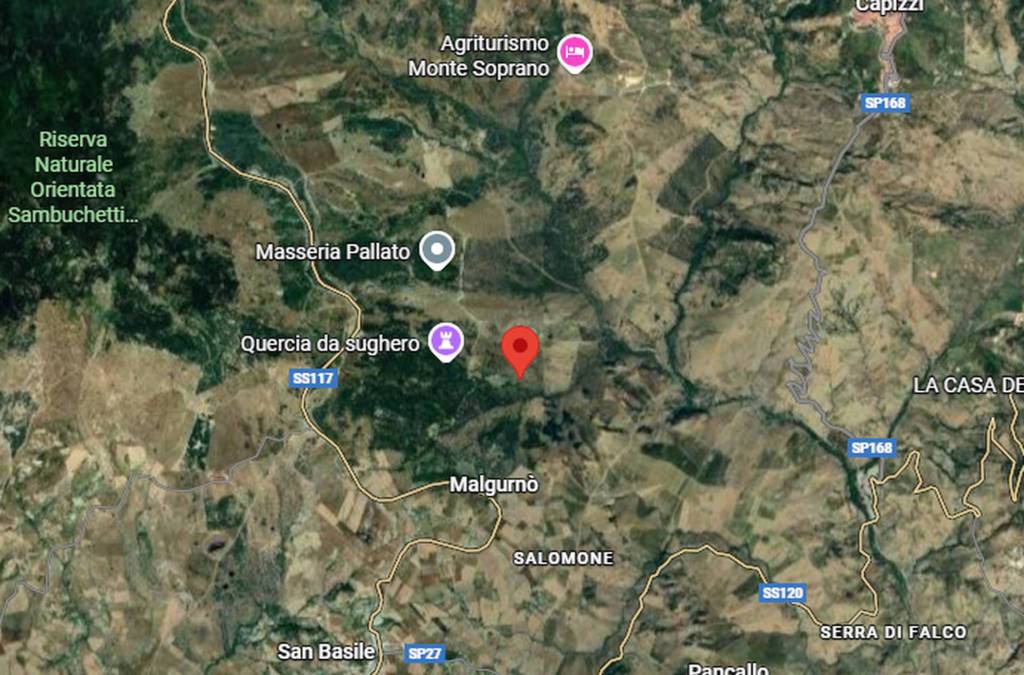 immagine annuncio 6 di 13