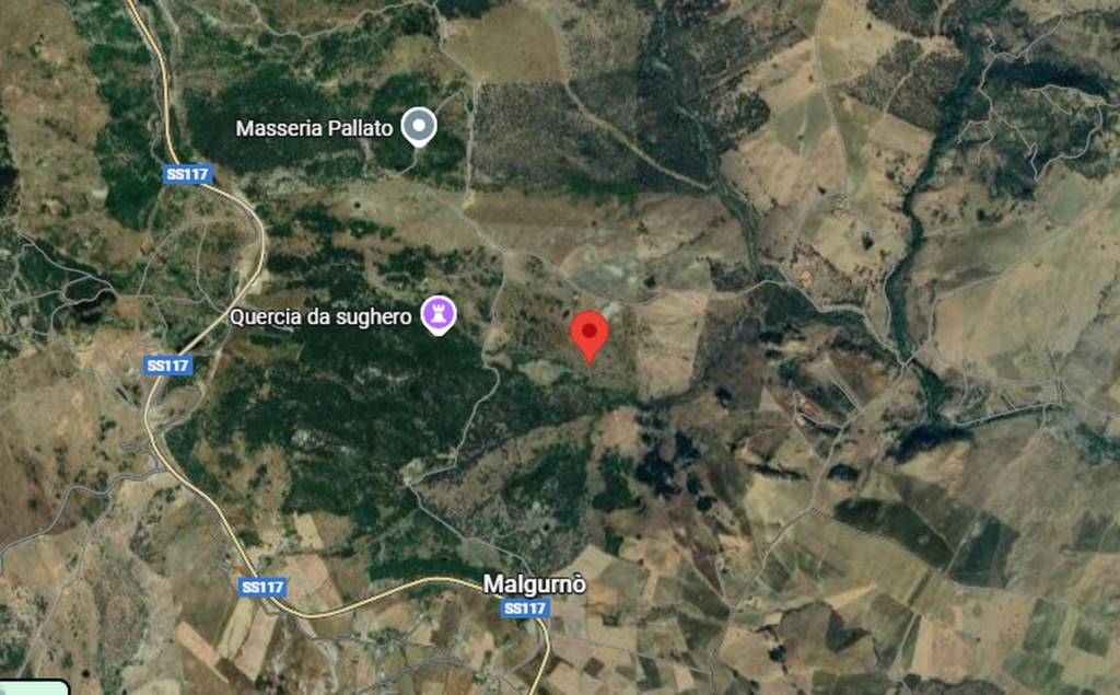 immagine annuncio 7 di 13