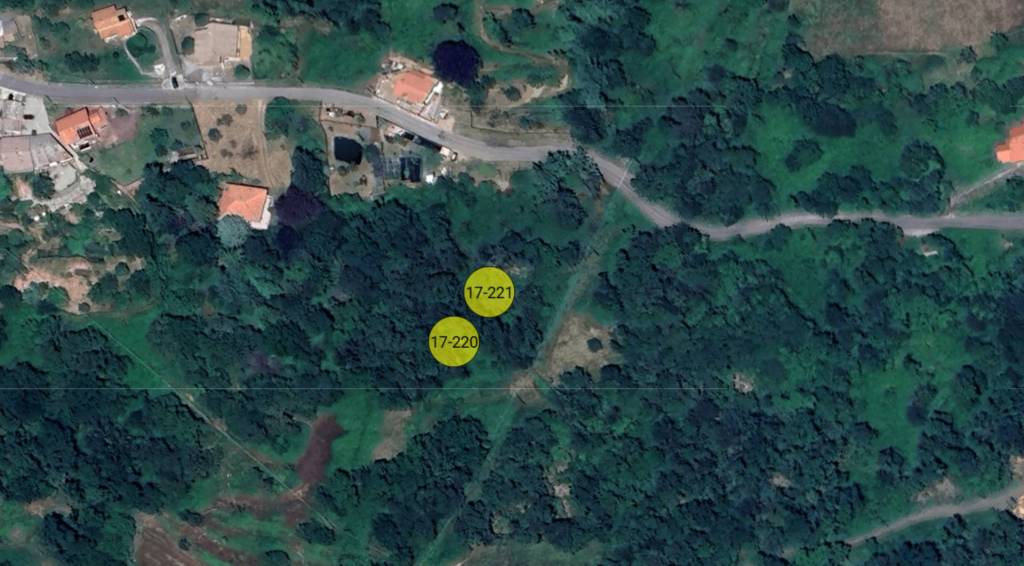 immagine annuncio 5 di 11