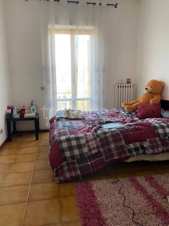 immagine annuncio 8 di 11