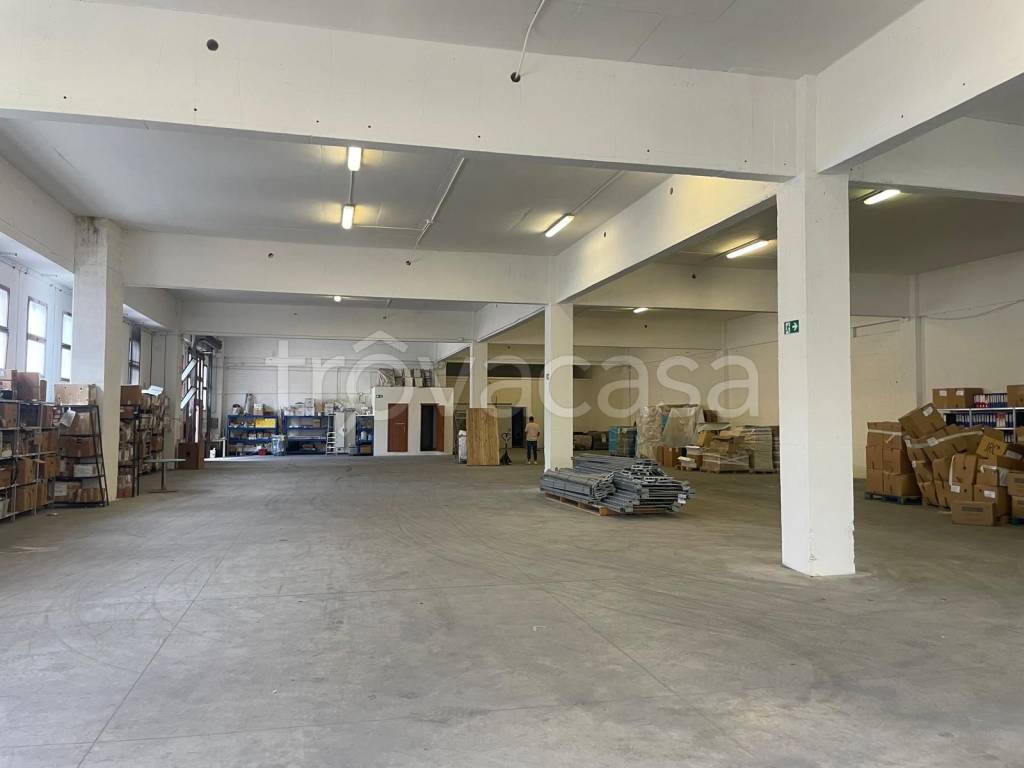 immagine annuncio 5 di 7