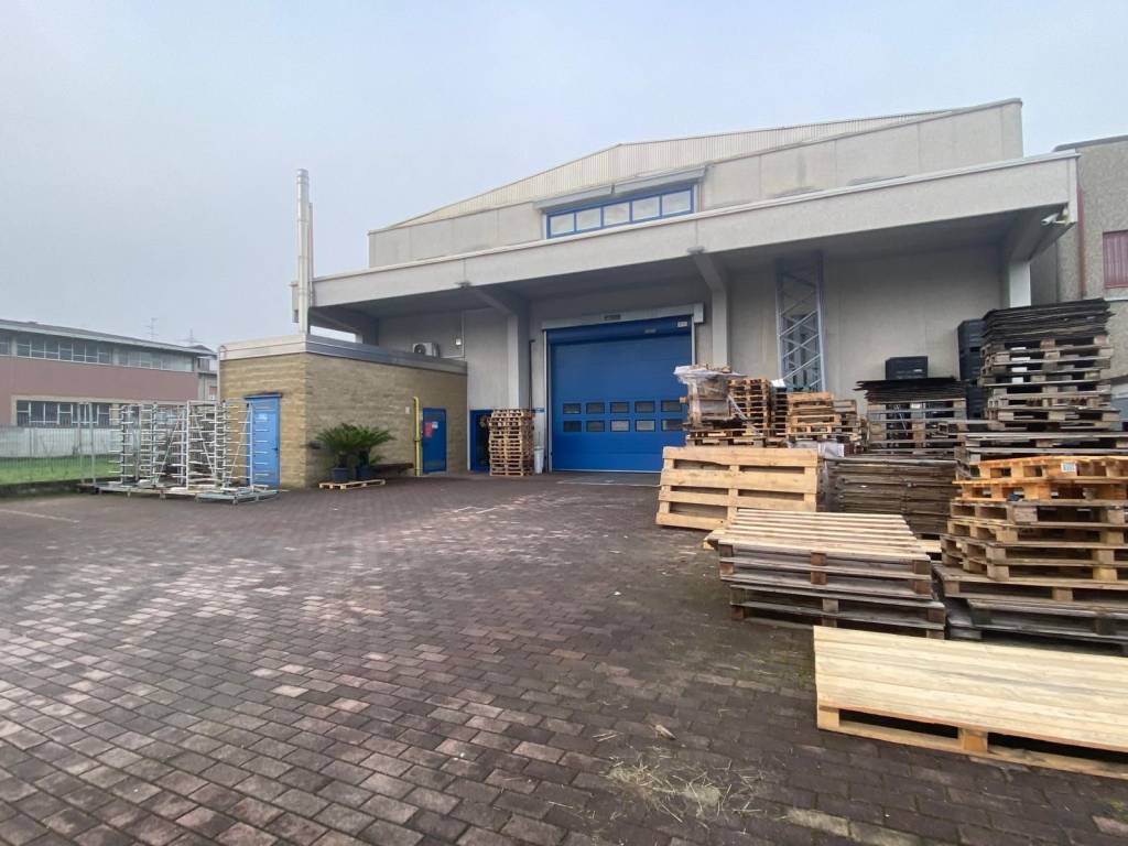 immagine annuncio 1 di 11