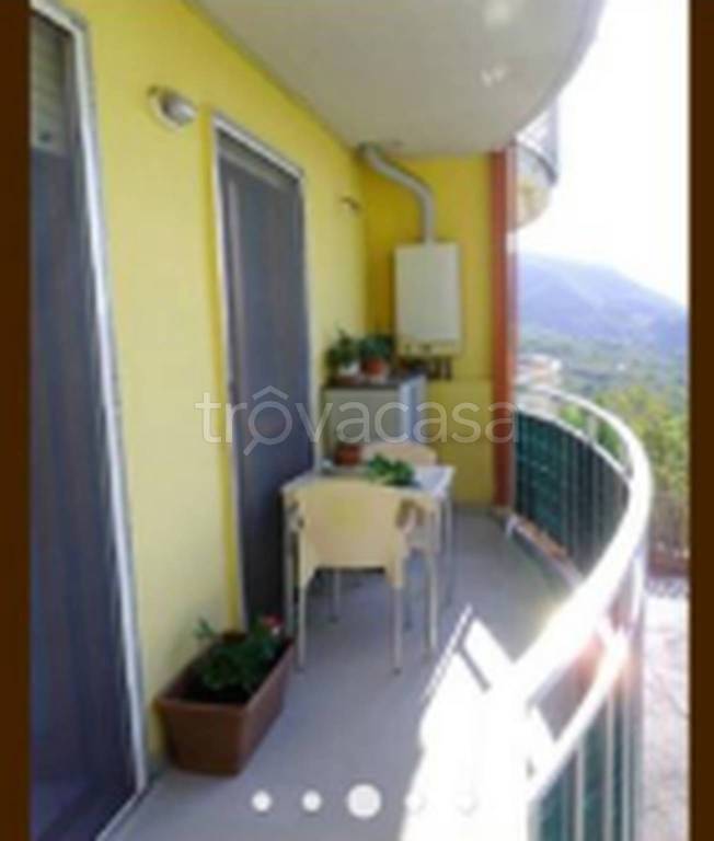 immagine annuncio 5 di 12