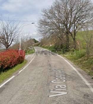 immagine annuncio 4 di 12