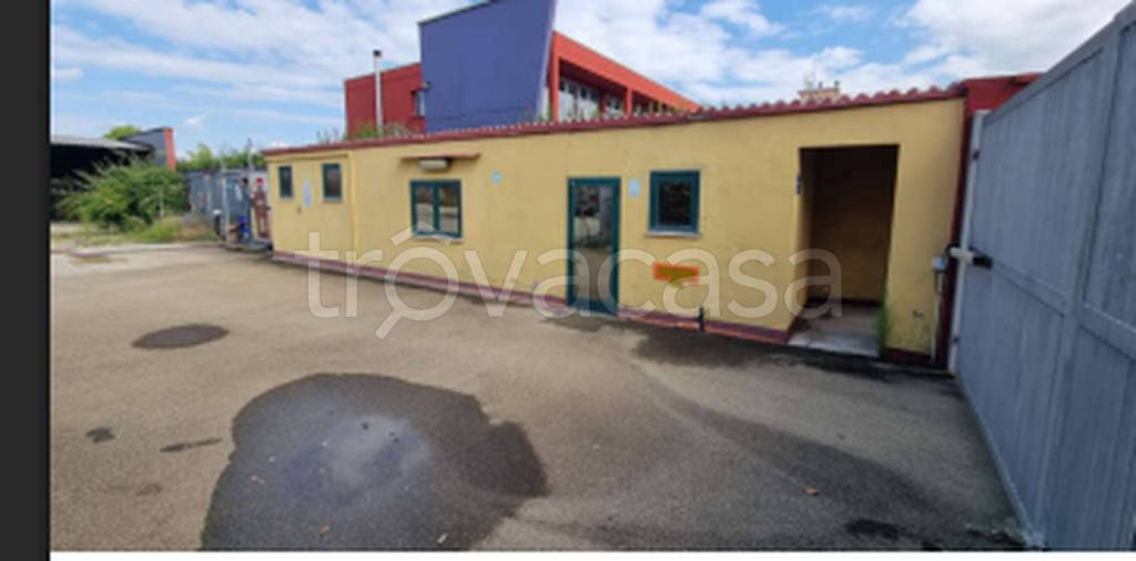 immagine annuncio 5 di 11