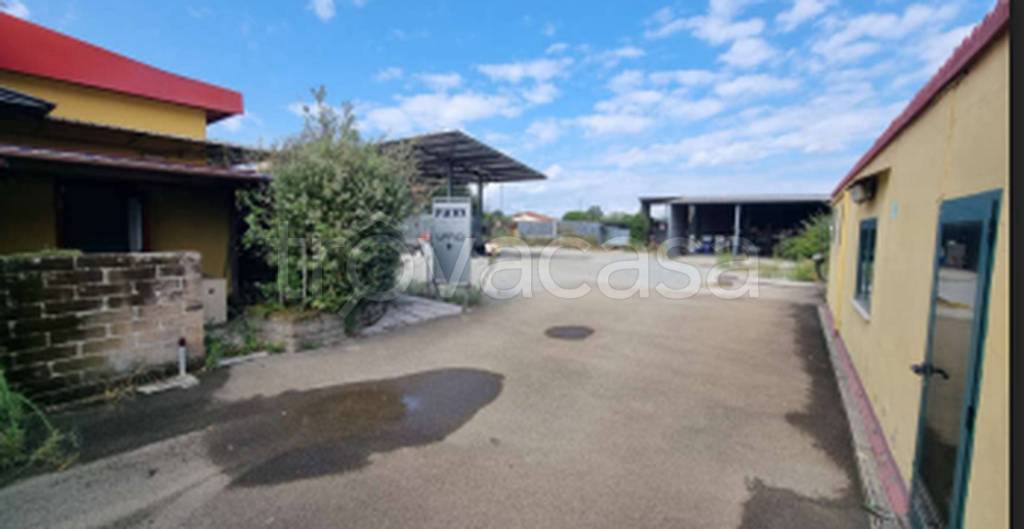 immagine annuncio 8 di 11