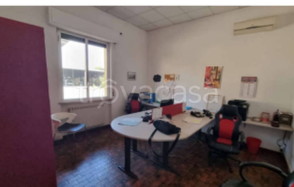 immagine annuncio 10 di 11