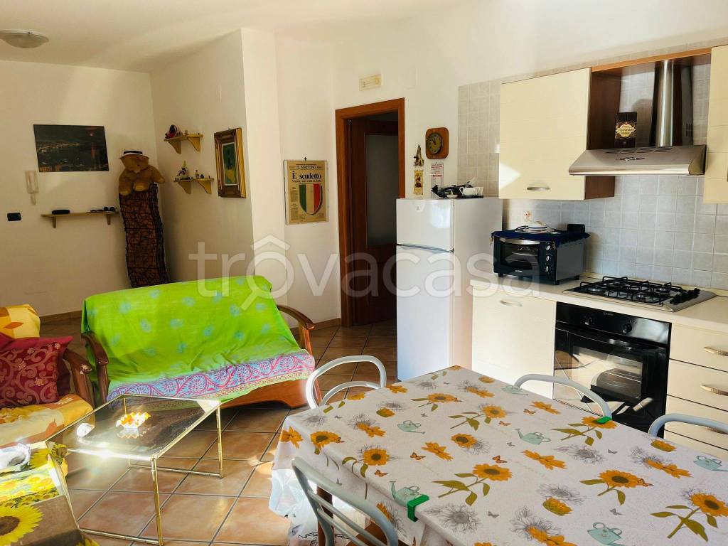 immagine annuncio 3 di 14