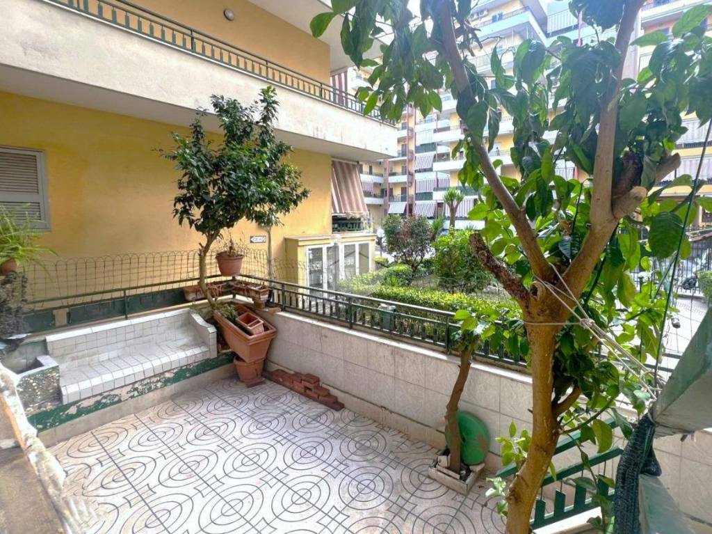 immagine annuncio 1 di 12