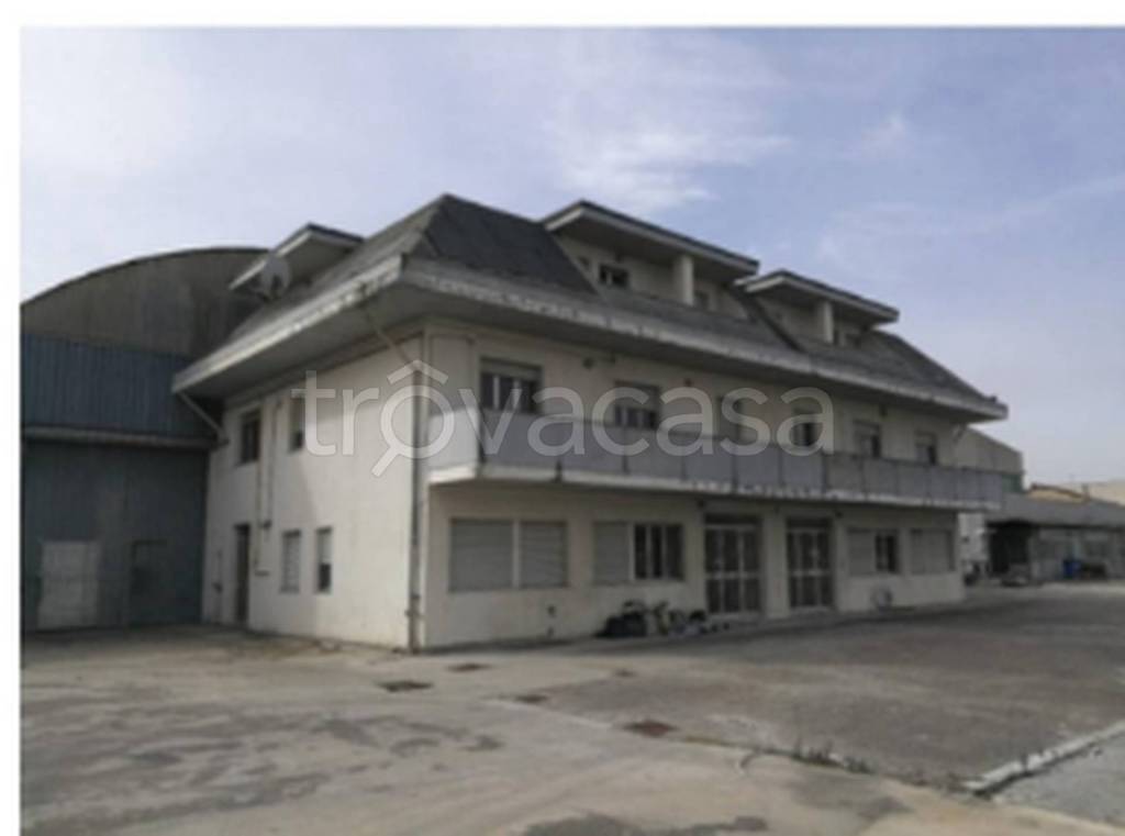 immagine annuncio 2 di 11