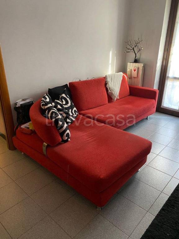 immagine annuncio 3 di 12