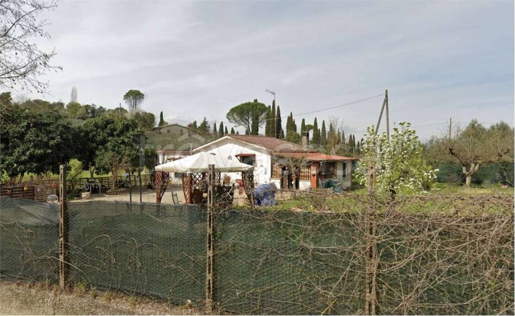 immagine annuncio 4 di 8