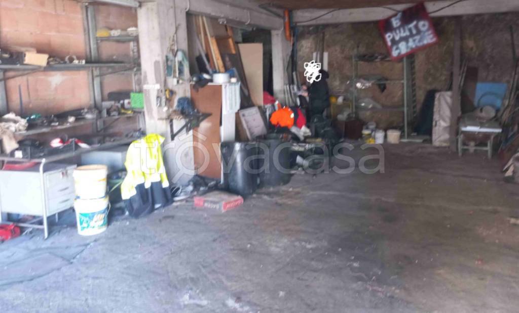 immagine annuncio 4 di 11