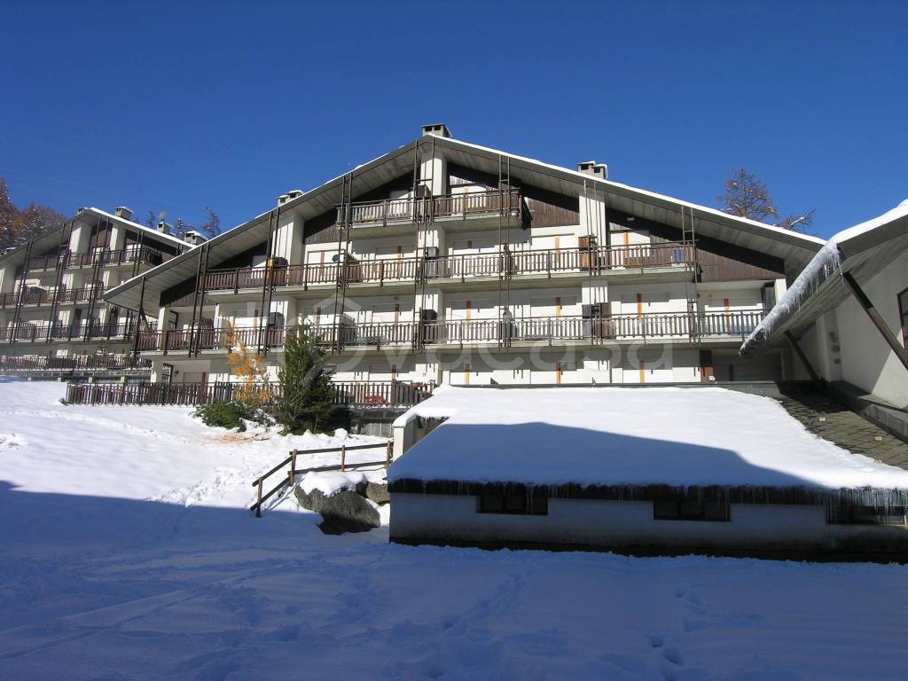 immagine annuncio 13 di 15