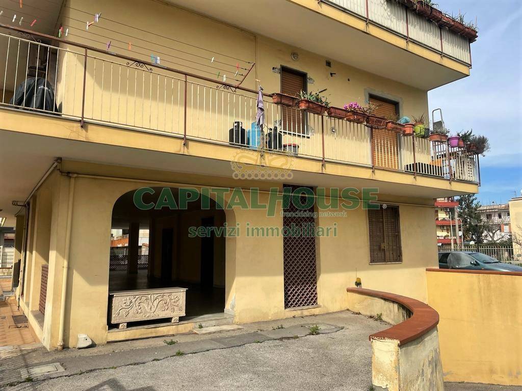 immagine annuncio 2 di 12