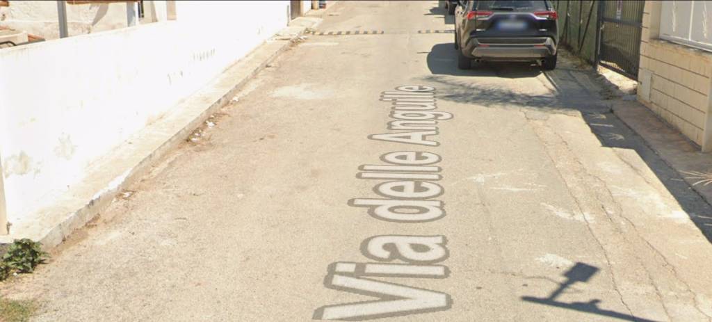 immagine annuncio 1 di 11