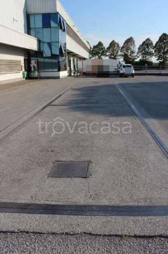 immagine annuncio 7 di 12