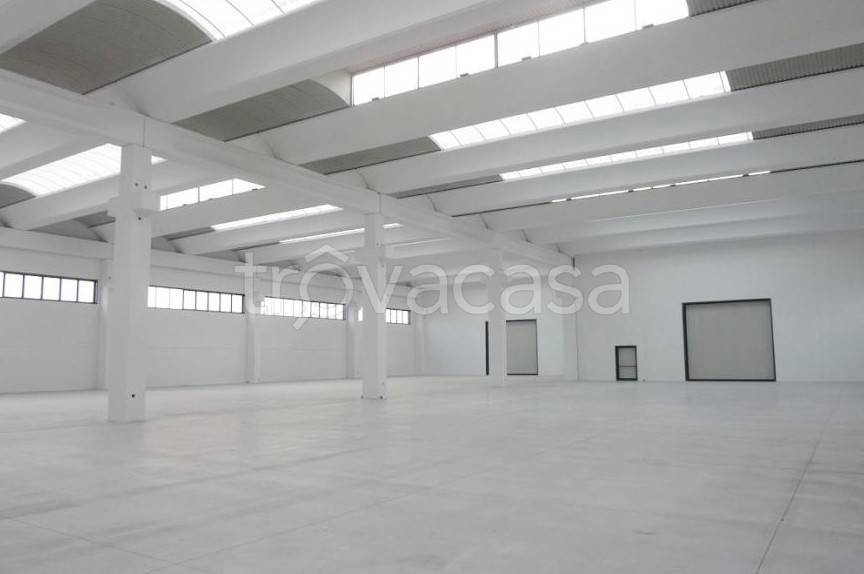 immagine annuncio 1 di 9