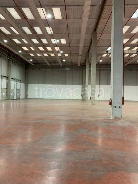 immagine annuncio 3 di 9