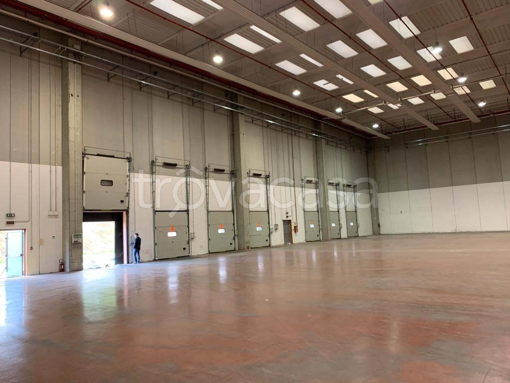 immagine annuncio 4 di 9