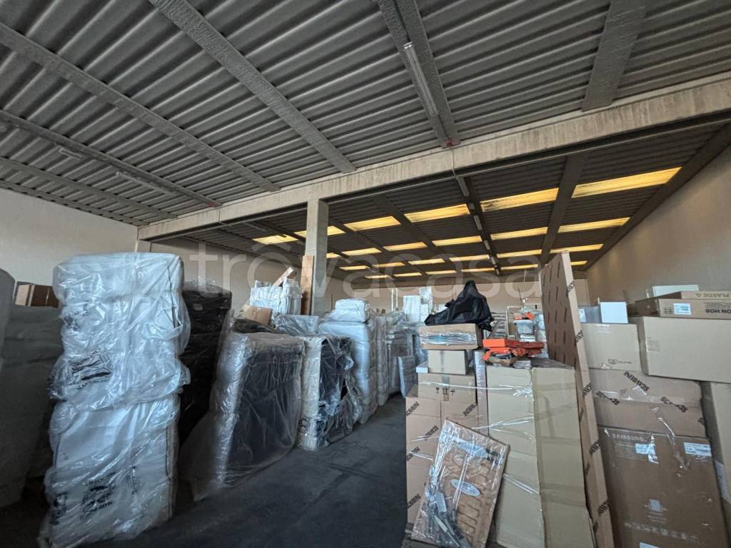 immagine annuncio 5 di 12