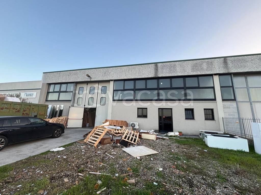 immagine annuncio 6 di 12