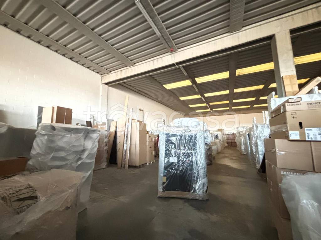 immagine annuncio 8 di 12