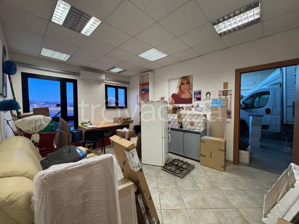 immagine annuncio 9 di 12