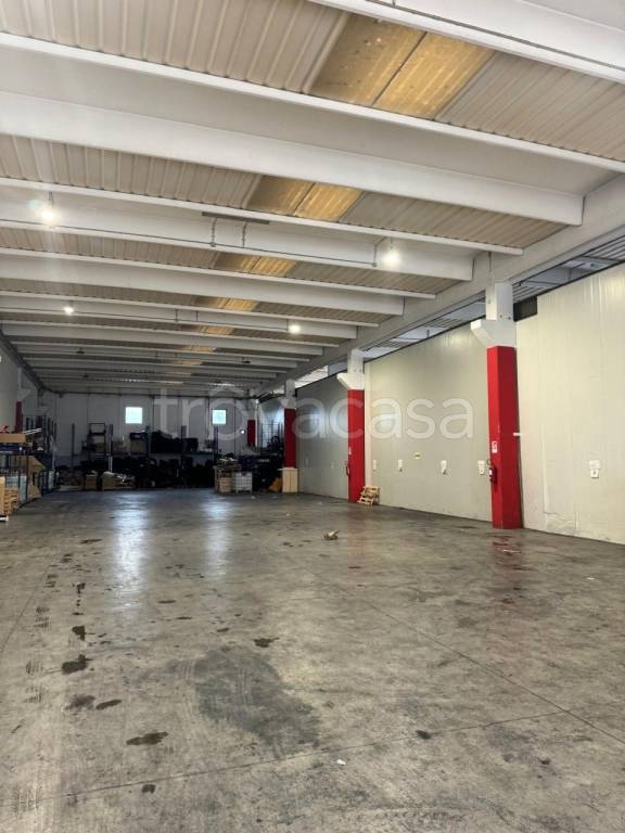 immagine annuncio 6 di 11