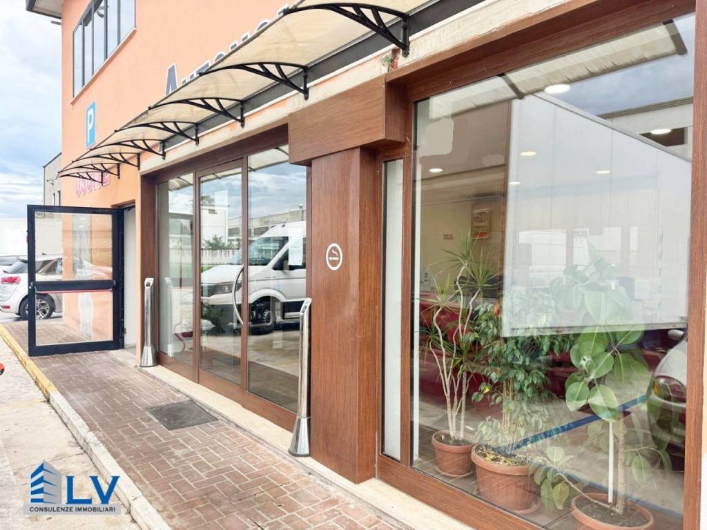 immagine annuncio 8 di 11