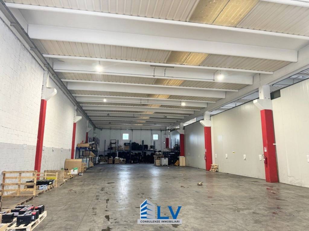 immagine annuncio 4 di 12