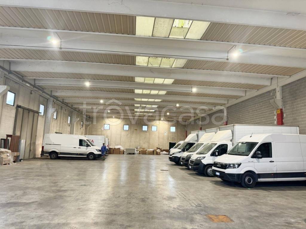 immagine annuncio 8 di 12