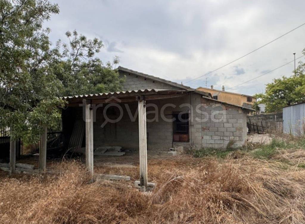 immagine annuncio 2 di 11