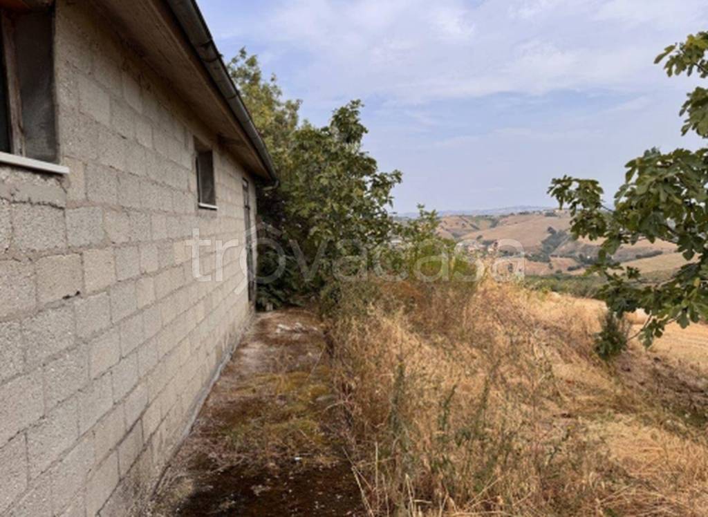 immagine annuncio 4 di 11