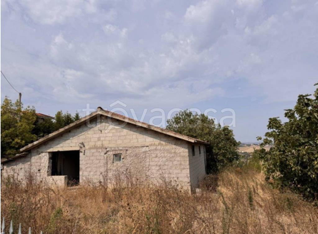 immagine annuncio 5 di 11