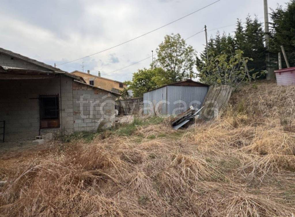 immagine annuncio 9 di 11