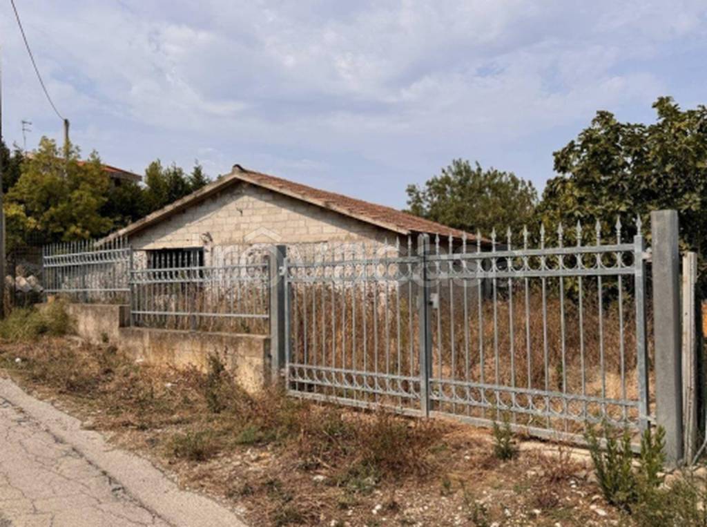 immagine annuncio 10 di 11