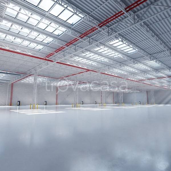 immagine annuncio 7 di 12