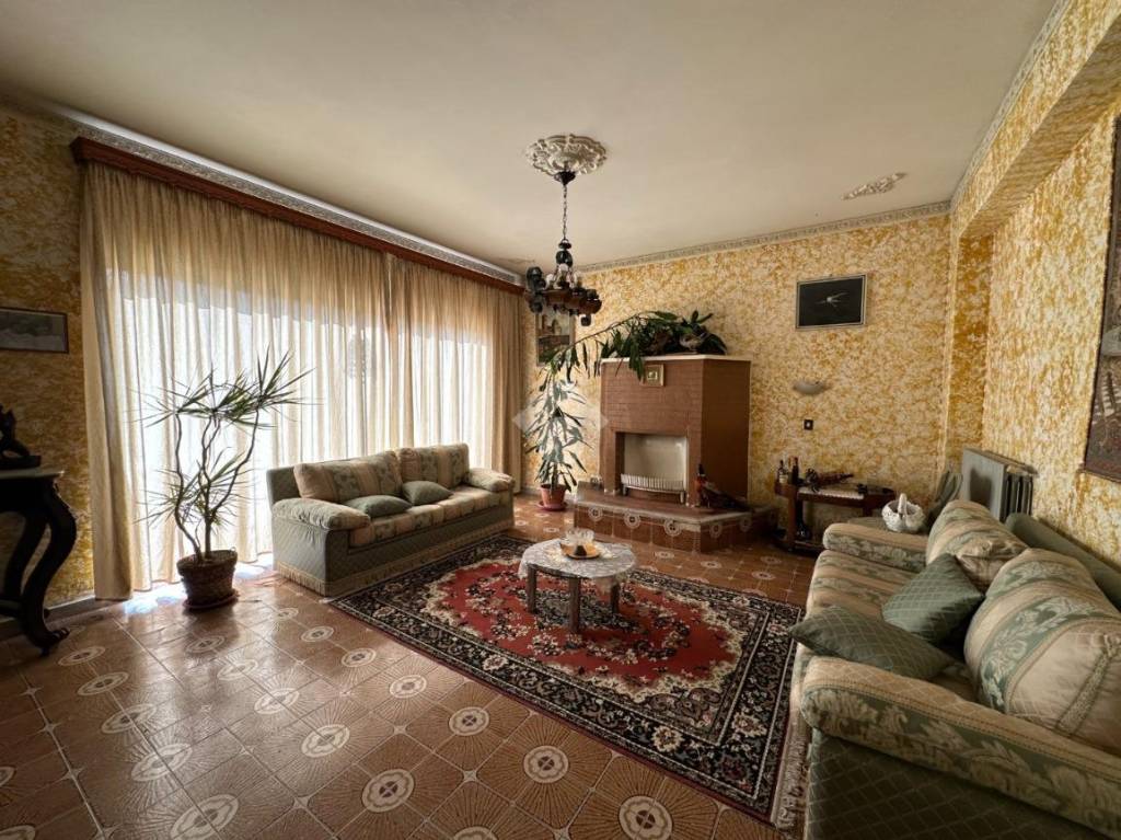 immagine annuncio 1 di 14