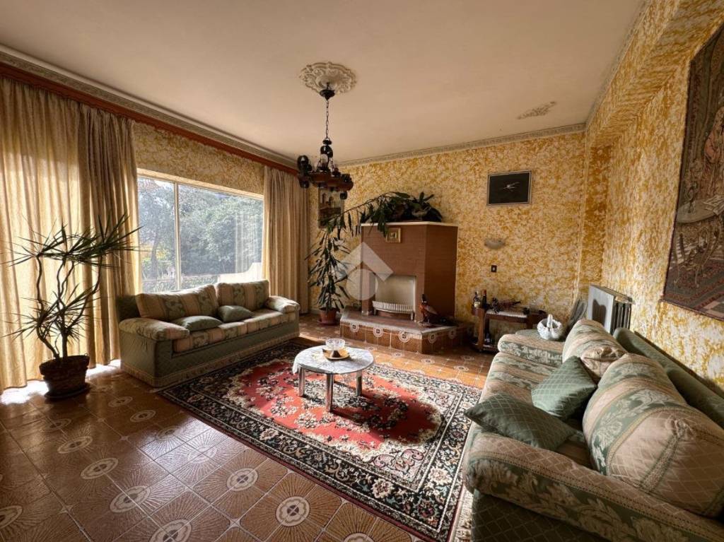 immagine annuncio 2 di 14