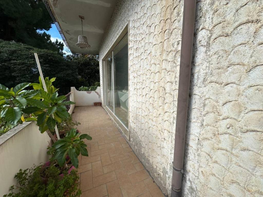 immagine annuncio 11 di 14