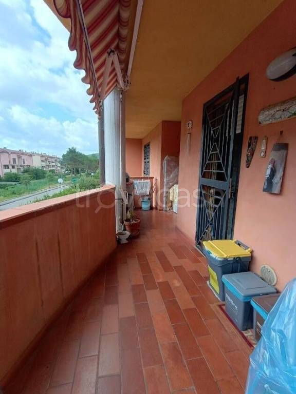 immagine annuncio 2 di 11