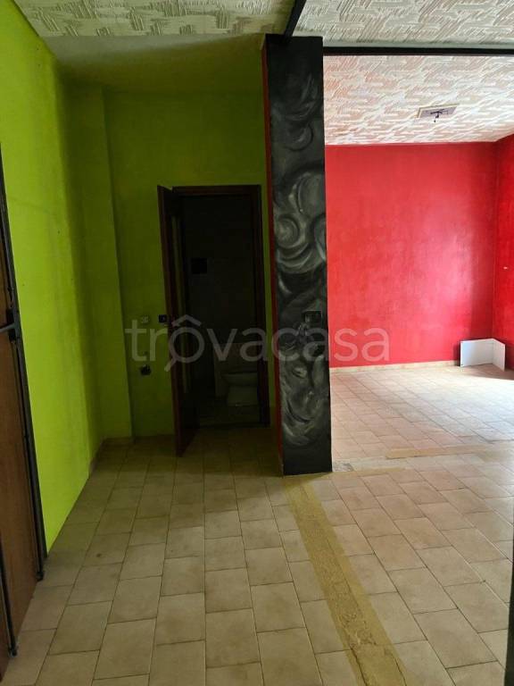 immagine annuncio 2 di 12