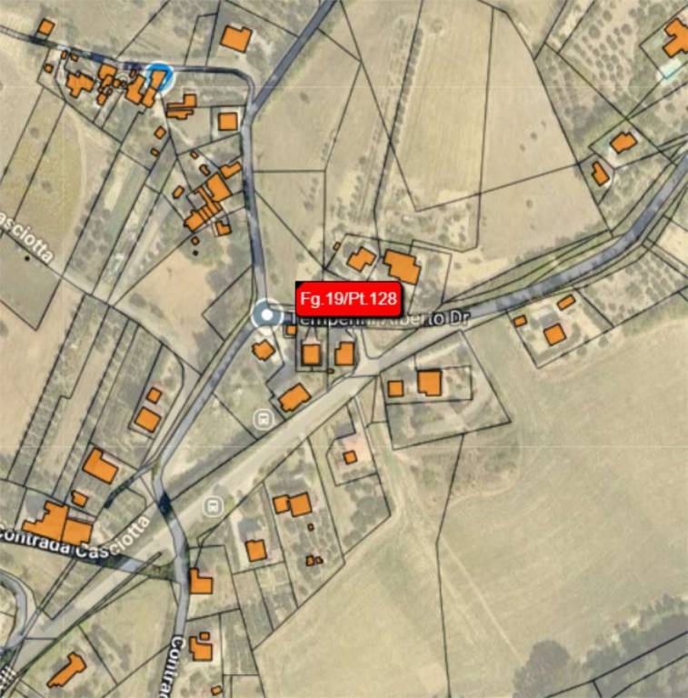 immagine annuncio 6 di 14