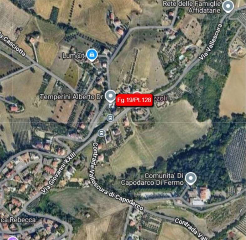 immagine annuncio 7 di 14