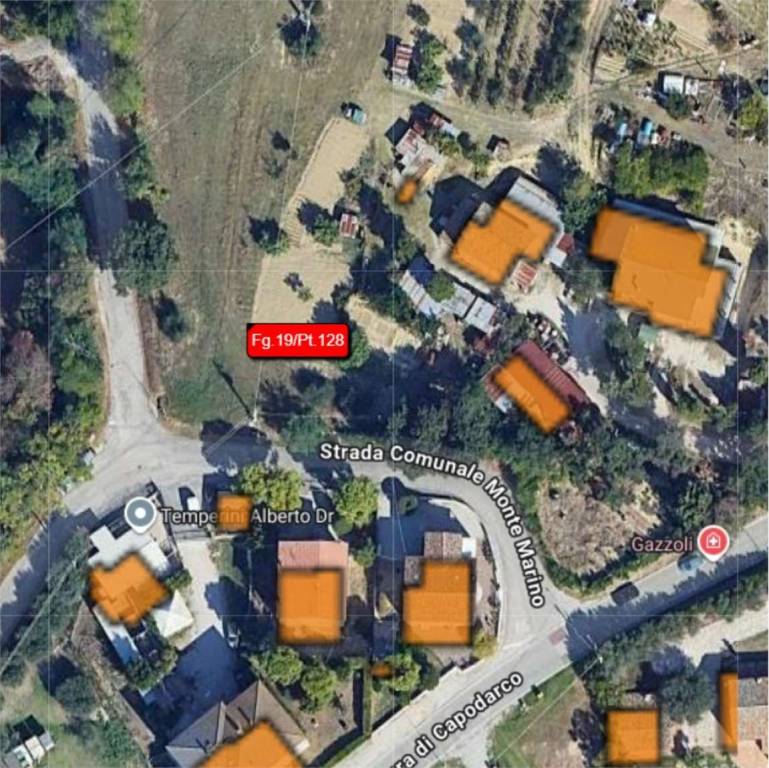 immagine annuncio 9 di 14